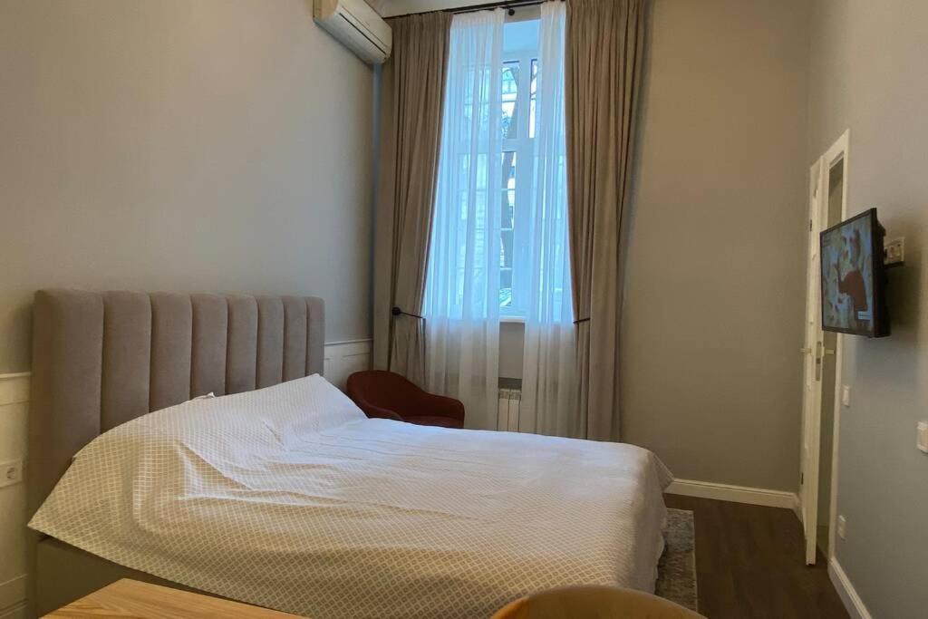 Hidden Gem With Its Own Private Entry At Lypky Apartment Kiev Luaran gambar